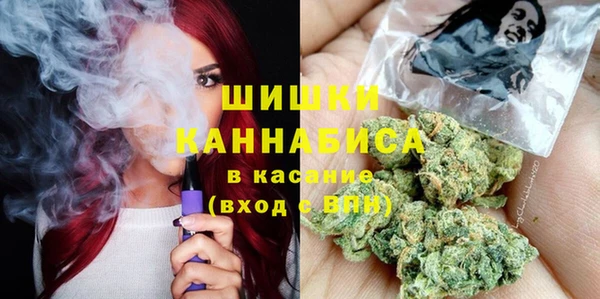 сатива Приозерск