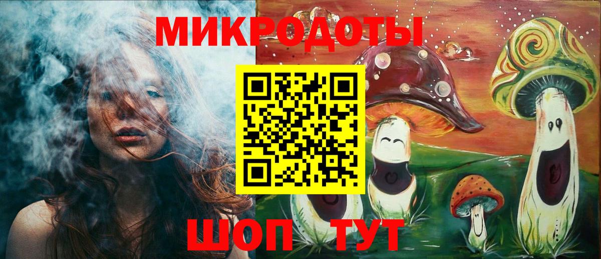 Псилоцибиновые грибы мухоморы  купить   Рассказово  Вход с VPN 